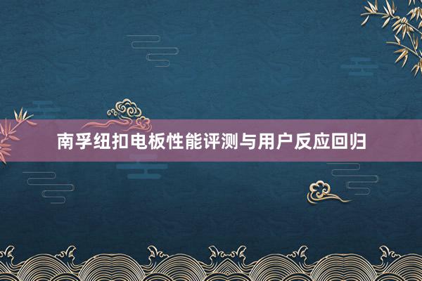 南孚纽扣电板性能评测与用户反应回归