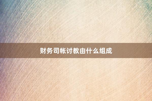 财务司帐讨教由什么组成