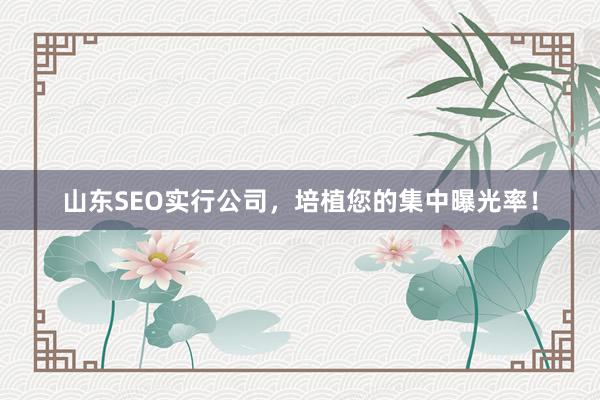 山东SEO实行公司，培植您的集中曝光率！