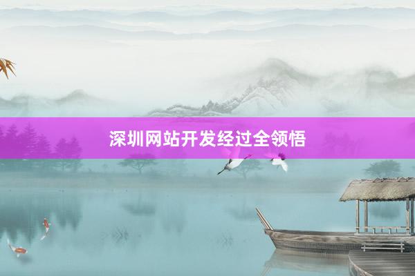 深圳网站开发经过全领悟
