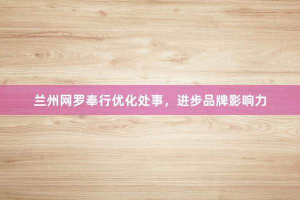 兰州网罗奉行优化处事，进步品牌影响力