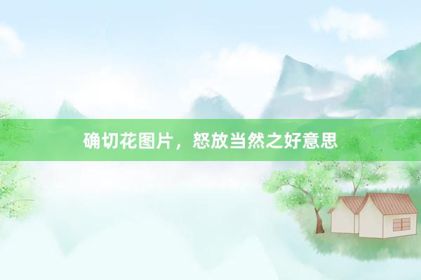 确切花图片，怒放当然之好意思